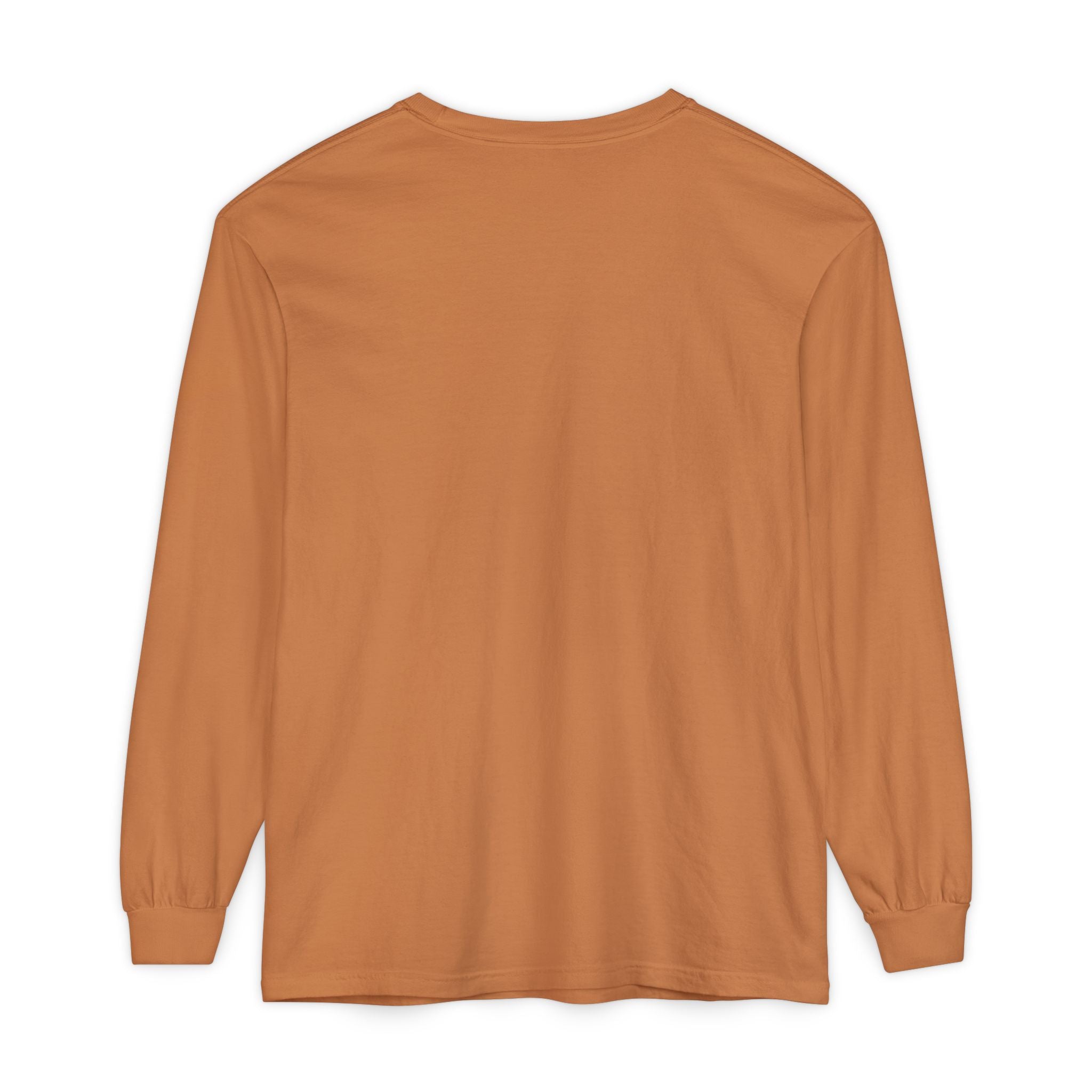 Hocking Hills Long Sleeve Tee — Vintage Collegiate Graphic