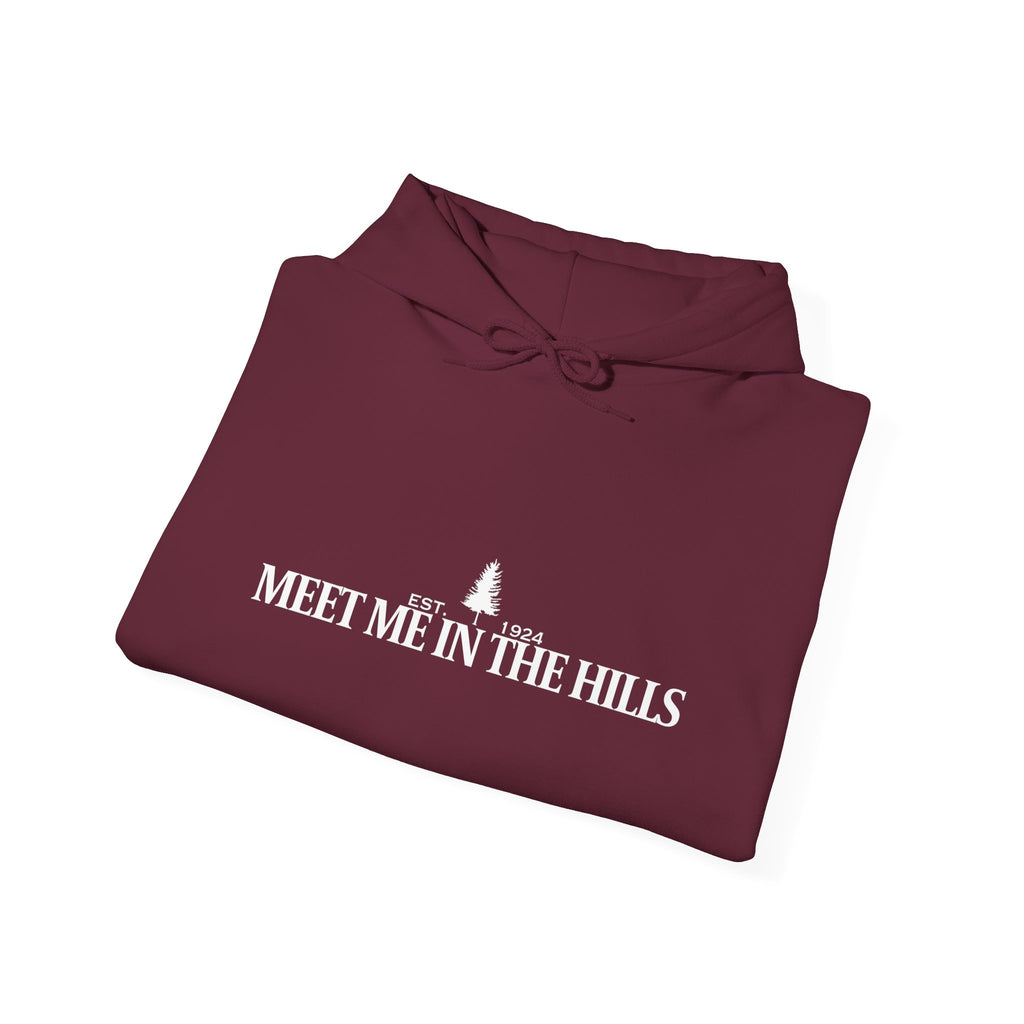 "MEET ME IN THE HILLS" COLLECTION Unisex Heavy Blend™ Hooded Sweatshirt